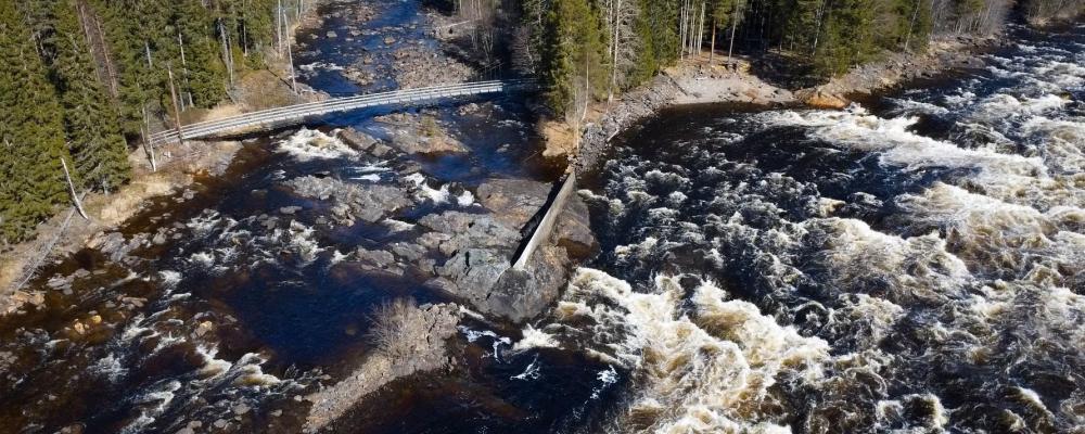 Vattnet som ska provas i Bryssel kommer från Vindeln. Det håller så hög kvalitet att inga kemikalier behövs förutom för att justera pH-värdet. Fotograf: Adam Lindsköld