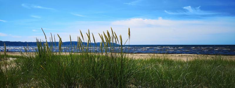 Kustvaktarevägen  vid Skummeslövsstrand i Laholm Foto: Henrik Jönsson/Unsplash