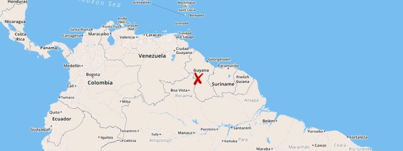 : Guyana består mest av skog.