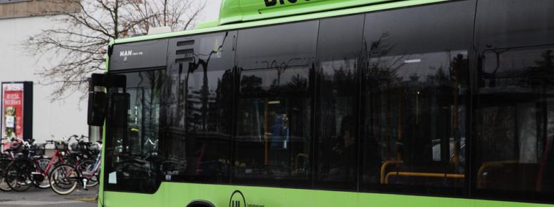 Martina Holmberg / TT: Många bussar i svensk kollektivtrafik går på biogas. Arkivbild.
