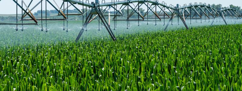 Projektet kommer att fungera som en forskningsenhet och show-case för att visualisera och engagera intressenter. Målet är att optimera systemet för framtida kommersialisering och expandera den innovativa tekniken internationellt. Foto: Unity4Water