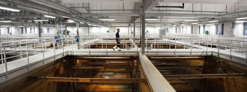 Lustgasutsläpp från kväverening har sedan länge identifierats som den viktigaste källan till avloppsreningsverkens klimatpåverkan. Ändå görs relativt få mätningar av lustgas vid svenska avloppsreningsverk. Foto: Svenskt vatten