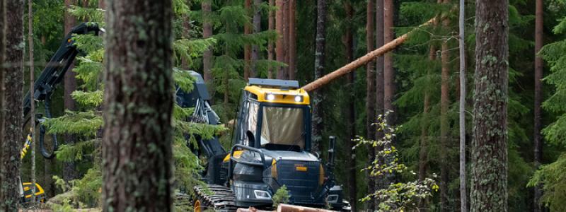 Foto: Metsä Group