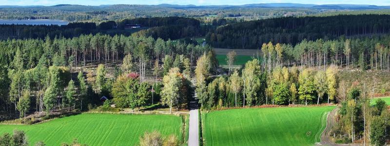 Genom att sammanföra forskare med material- och produktingenjörer under ett tak, vill projektet närma sig helt klimatneutrala material för framtidens samhälle. Foto: Lindholmen Science Park