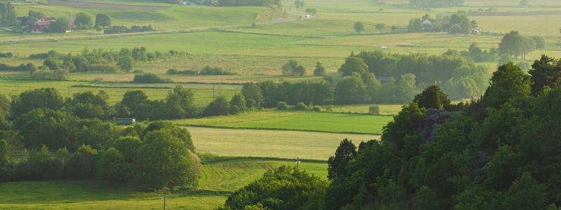 Foto: Länsstyrelsen Värmland