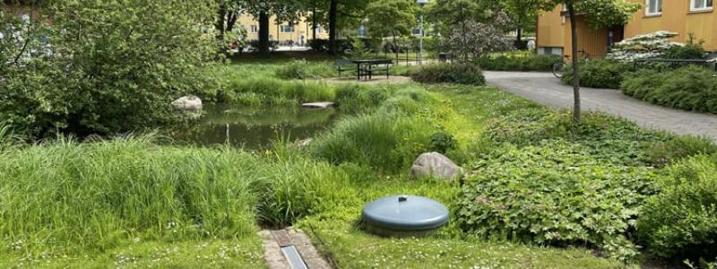 IVL förstärker inom hållbar stadsutveckling och klimatanpassning Foto: Johan Holmqvist/IVL