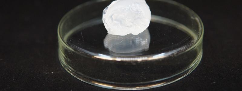 FineCell siktar på att ha designen av sin demoanläggning klar för investeringsbeslut i slutet av 2024. Foto: Metsä Group