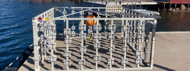 Foto: Thomas Concrete Group