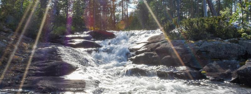 Foto: Niklas Jonasson/Unsplash