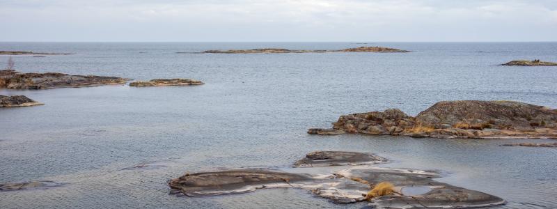 Kållandsö, Lidköping. Foto: axel josefsson/unsplash