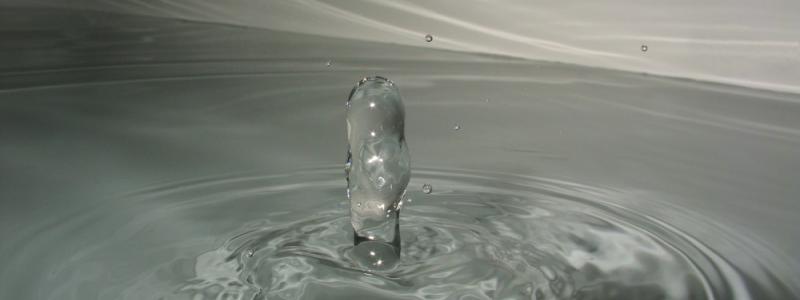 Foto: Robert McClassus/Wikimedia Commons