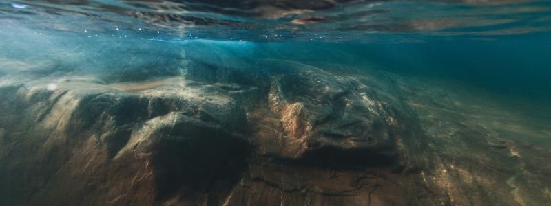 Under ytan i Bjuröklubb, i Västerbotten Foto: Niklas Jonasson/Unsplash
