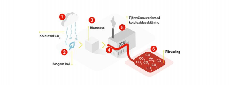 Växterna fångar koldioxid från luften genom fotosyntesen. När biomassan sedan omvandlas till elenergi och fjärrvärme kan avskiljning och lagring skapa negativa utsläpp i form av kolsänkor. Grafik: E.ON