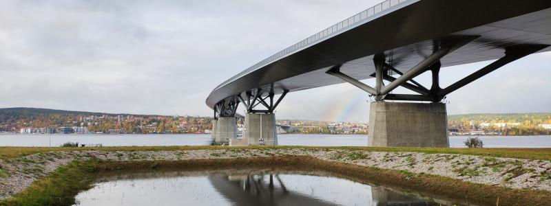 Exempel på den här typen av biofilter i Sverige vid Sundsvallsbron. Foto: Luleå tekniska universitet 