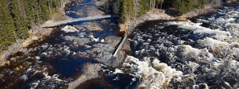 Vattnet som ska provas i Bryssel kommer från Vindeln. Det håller så hög kvalitet att inga kemikalier behövs förutom för att justera pH-värdet. Fotograf: Adam Lindsköld