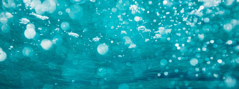 Förutom finansiella priser kommer vinnarna att delta i evenemang och projekt ledda av Världsekonomiska forumet och dess partners. Foto: Sime Basioli/Unsplash