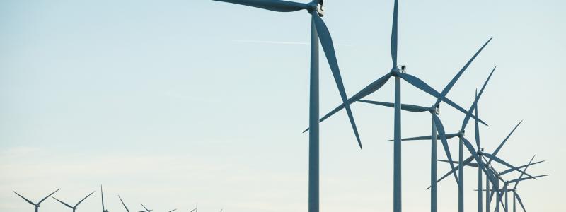 Vestas vindpark i amerikanska South Plains. Foto: Vestas