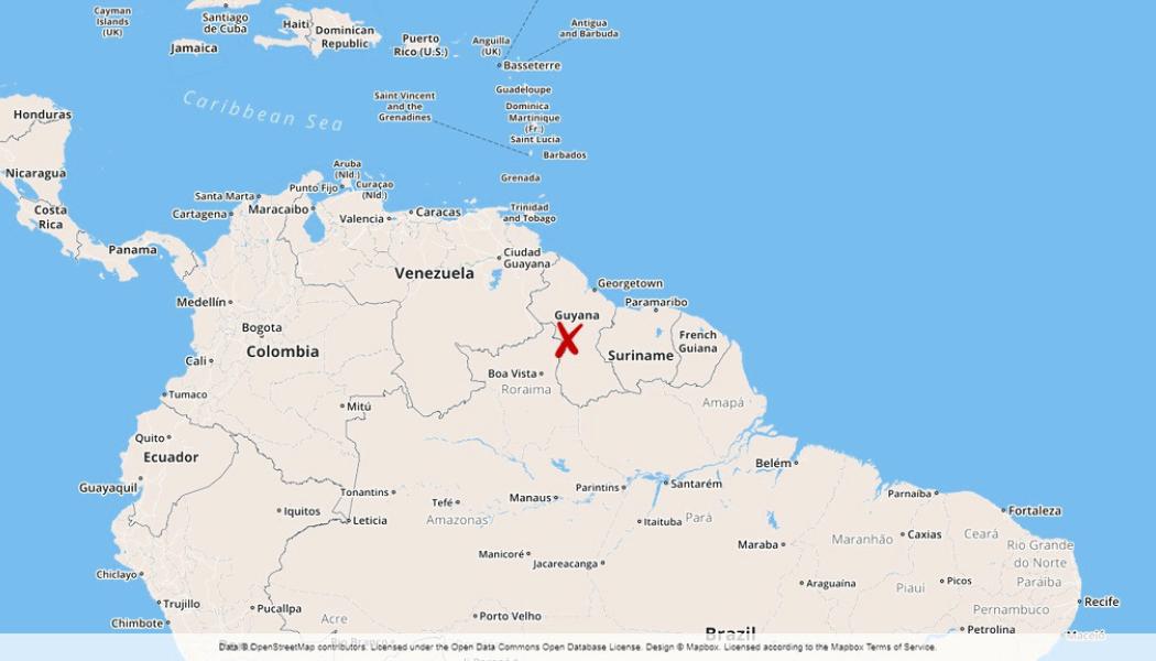 : Guyana består mest av skog.