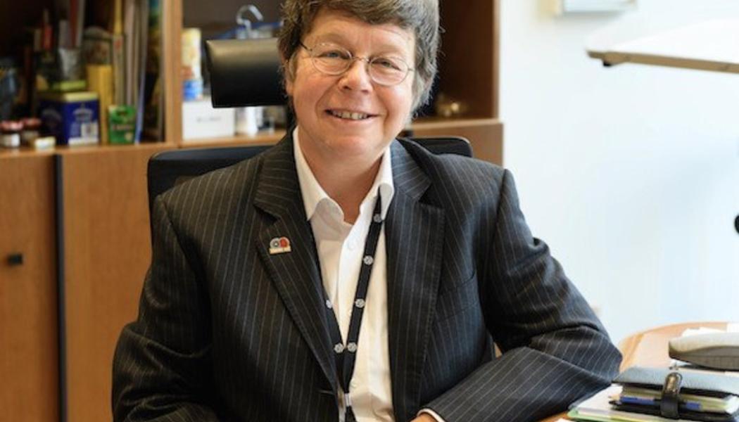 Eleanor Sharpston/TT: En ekocidlag skulle visa på internationell toppnivå att det inte är okej att förstöra miljön, menar Eleanor Sharpston.