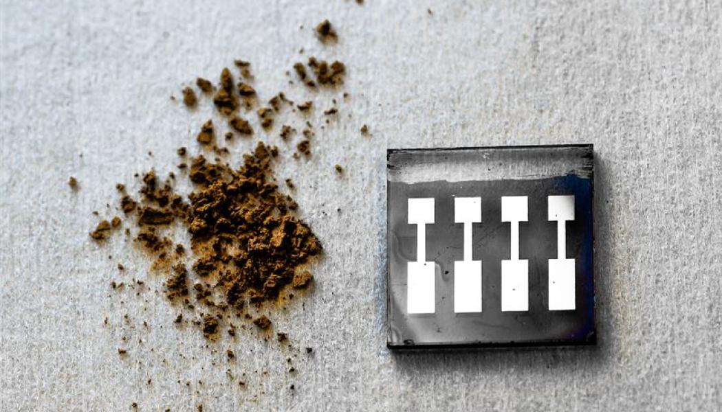 Kraftlignin kommer direkt från trämassa och kan användas för att skapa stabila solceller tack vare dess förmåga att skapa många många vätebindningar som fungerar som ett lim. Foto: Thor Balkhed