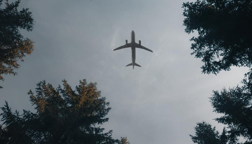 I slutet av förra året beviljades stöd till tio nya projekt på totalt 55 miljoner kronor. Foto: adam neumann/unsplash