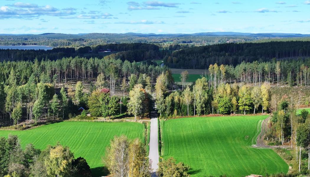 Genom att sammanföra forskare med material- och produktingenjörer under ett tak, vill projektet närma sig helt klimatneutrala material för framtidens samhälle. Foto: Lindholmen Science Park