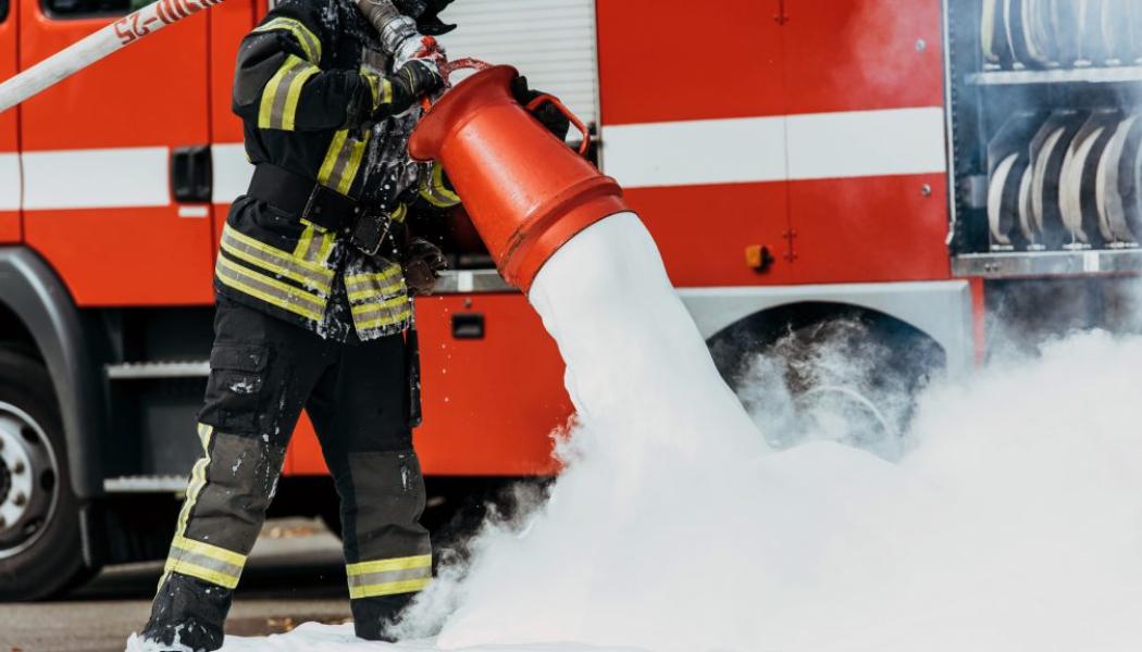 Foto: Forskning.se