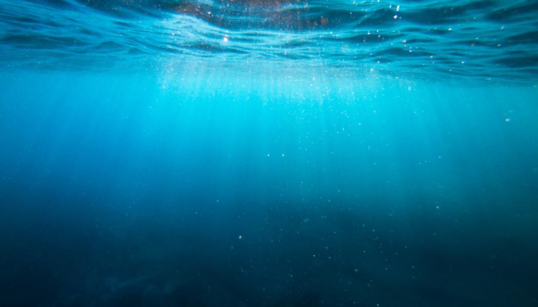 Foto: Cristian Palmer/Unsplash