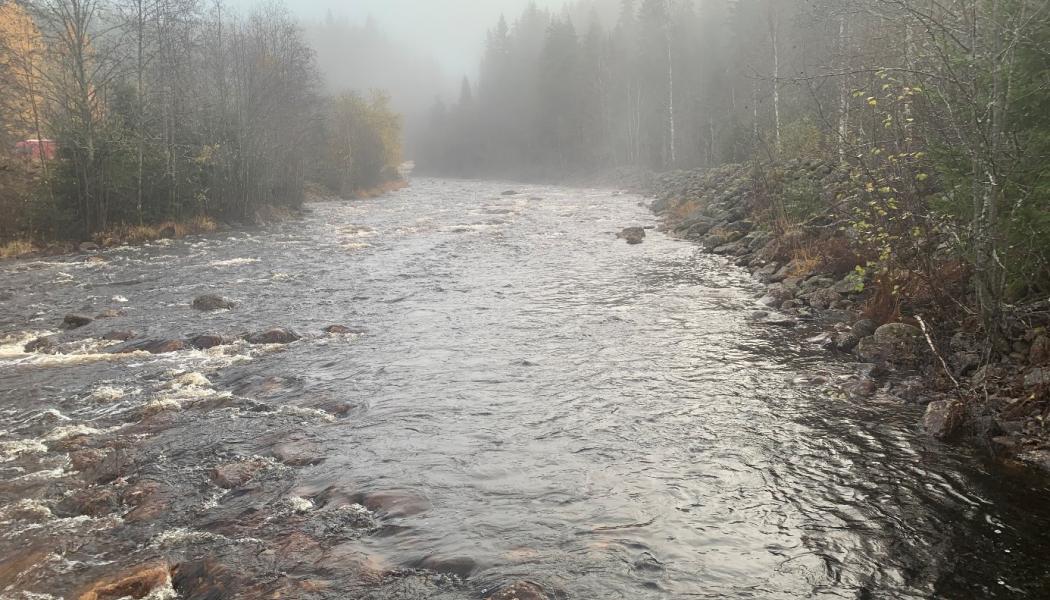 Fämtan, i norra Värmland, är ett av vattendragen som ingår i projektet. Foto: Länsstyrelsen Värmland