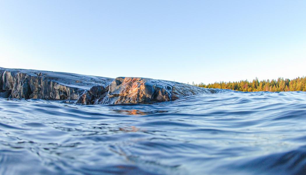 Foto: Niklas Jonasson/Unsplash