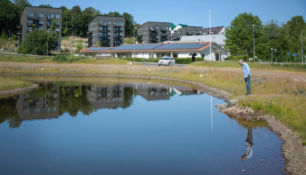 Nya dagvattendammar och diken ska minska föroreningarna Salwan vid dammen Kryddv. Foto: Lo Birgersson