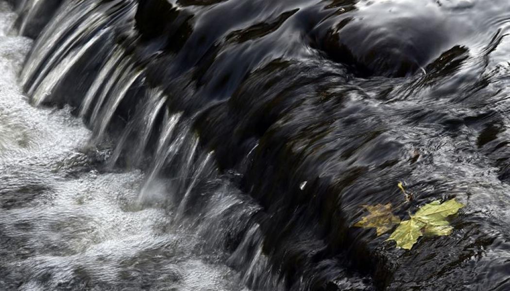 Spridning av PFAS är ett stort samhällsproblem som kräver en mångfacetterad hantering. Foto: Fortum 
