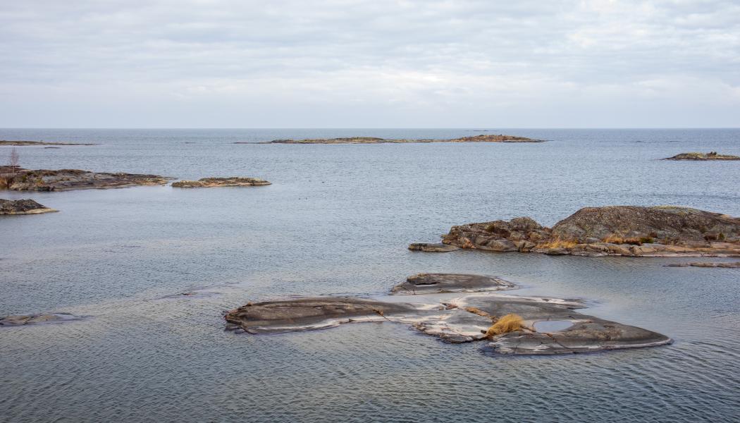 Kållandsö, Lidköping. Foto: axel josefsson/unsplash