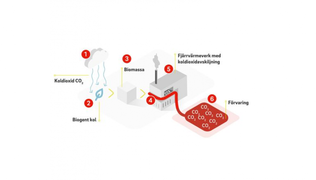 Växterna fångar koldioxid från luften genom fotosyntesen. När biomassan sedan omvandlas till elenergi och fjärrvärme kan avskiljning och lagring skapa negativa utsläpp i form av kolsänkor. Grafik: E.ON