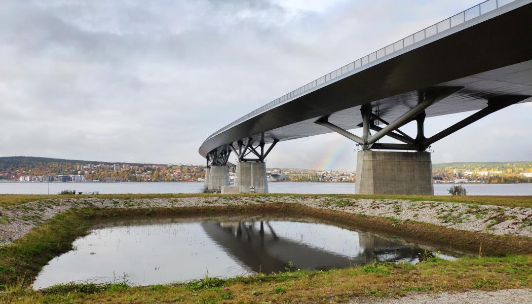Exempel på den här typen av biofilter i Sverige vid Sundsvallsbron. Foto: Luleå tekniska universitet 