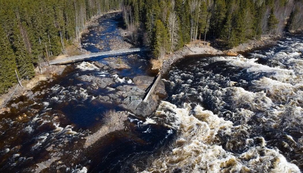 Vattnet som ska provas i Bryssel kommer från Vindeln. Det håller så hög kvalitet att inga kemikalier behövs förutom för att justera pH-värdet. Fotograf: Adam Lindsköld