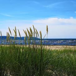 Kustvaktarevägen  vid Skummeslövsstrand i Laholm Foto: Henrik Jönsson/Unsplash