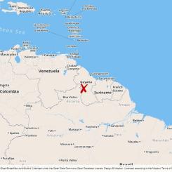 : Guyana består mest av skog.