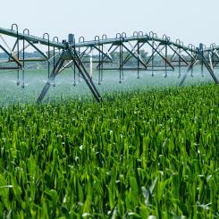 Projektet kommer att fungera som en forskningsenhet och show-case för att visualisera och engagera intressenter. Målet är att optimera systemet för framtida kommersialisering och expandera den innovativa tekniken internationellt. Foto: Unity4Water