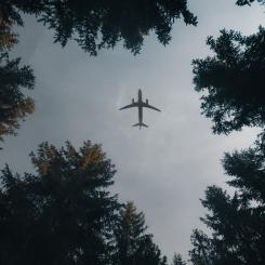 I slutet av förra året beviljades stöd till tio nya projekt på totalt 55 miljoner kronor. Foto: adam neumann/unsplash