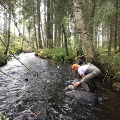 Den nya utbildningen har sin grund i den stora bristen på kvalificerade maskinförare, arbetsledare och inventerare inom naturvård, särskilt för återställning av våtmarker, fiskvägar, vattenmiljöer och skogsmarker. Fotograf/Källa: Anders Sundberg, Älvdalens Utbildningscentrum