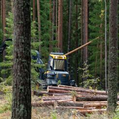 Foto: Metsä Group