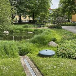 IVL förstärker inom hållbar stadsutveckling och klimatanpassning Foto: Johan Holmqvist/IVL