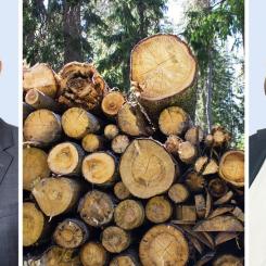 Bild: Skogsindustrierna