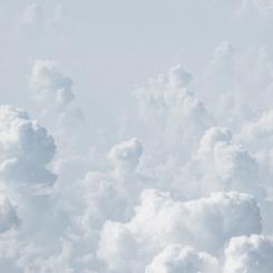 Foto: elCarito/Unsplash