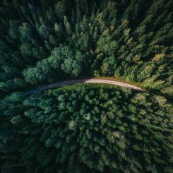 Foto: Geran de Klerk/Unsplash