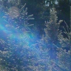 Foto: Södra