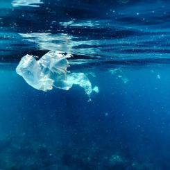Foto: Naja Bertolt Jensen/Unsplash