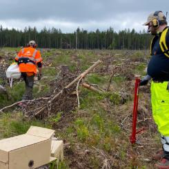 Foto: Paper Province