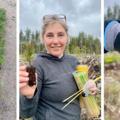 Maria Sandberg leder samverkansprojektet som utvecklar en ny typ av hydrokol för skogsgödning. Foto: Paper Province